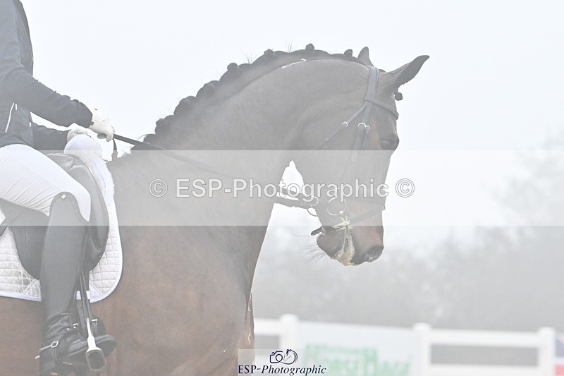 240217A-142846-03453 - 163-Anna.Johannson-Diamond.Bar