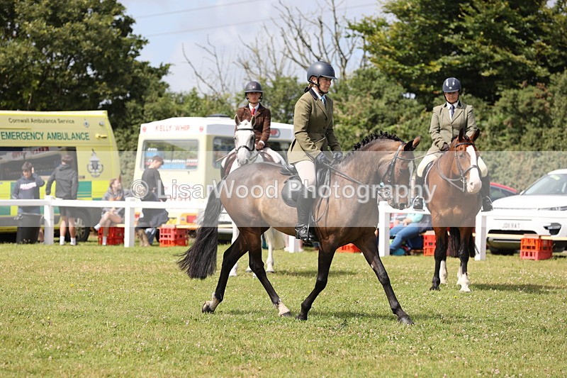 JPP_1515 - Class 17: Cornish Combination Open