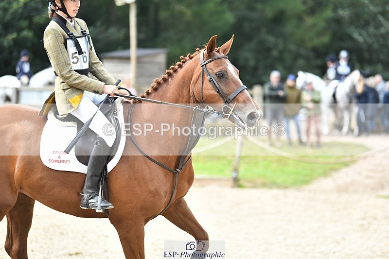 230827-115017-24214 - SJ 11.30 to End