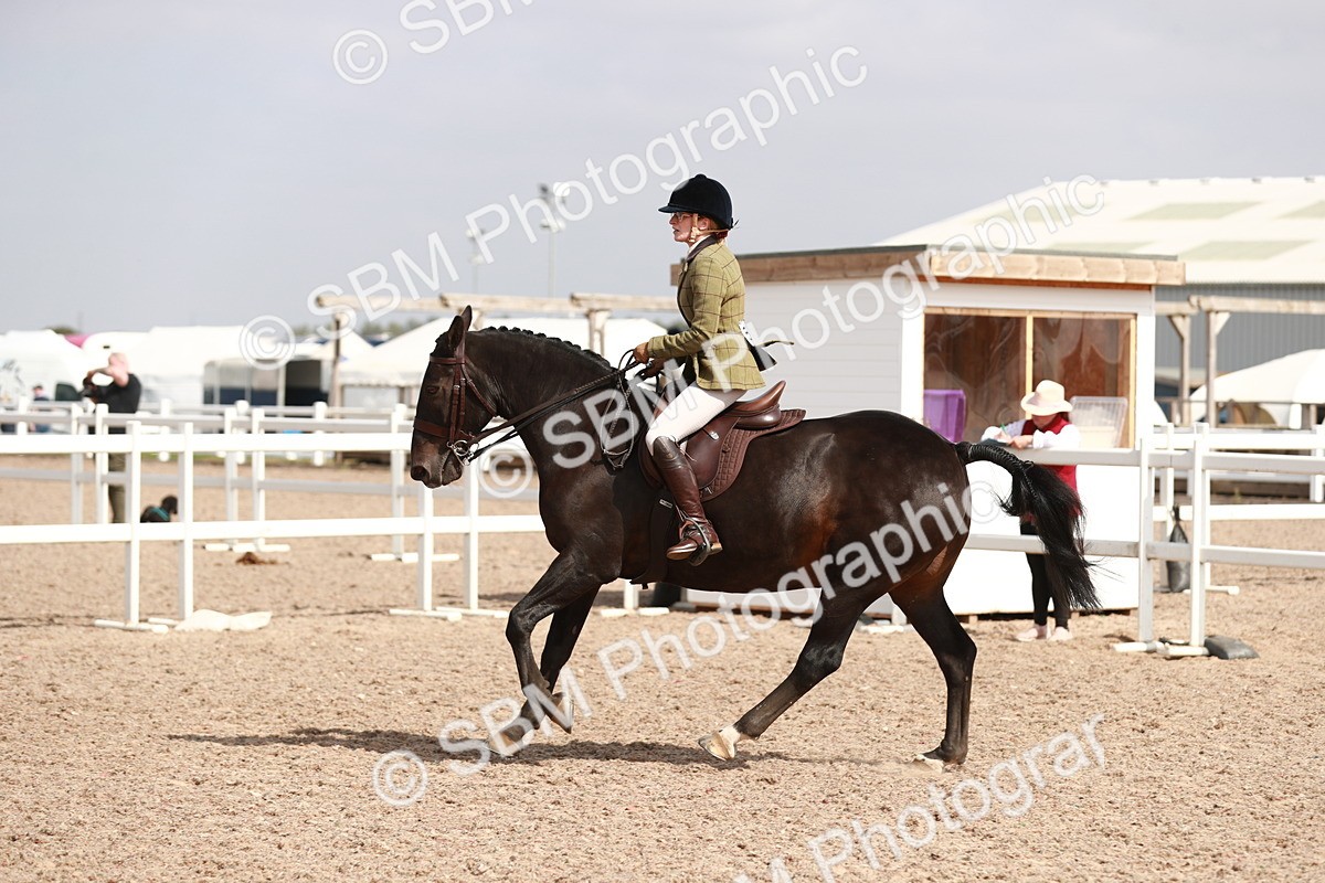 SBM_14855 - Class 212 Ridden Hunter - Small