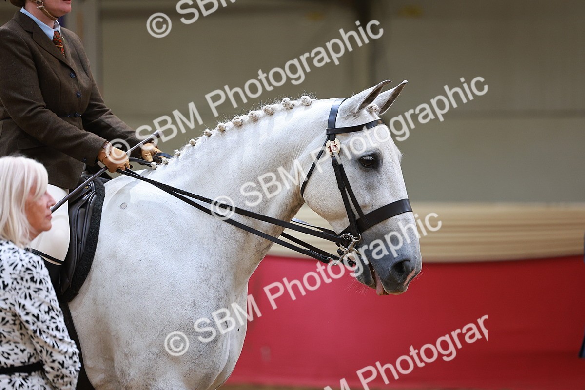SBM_06055 - Class 12R - Ridden Pre-Vet
