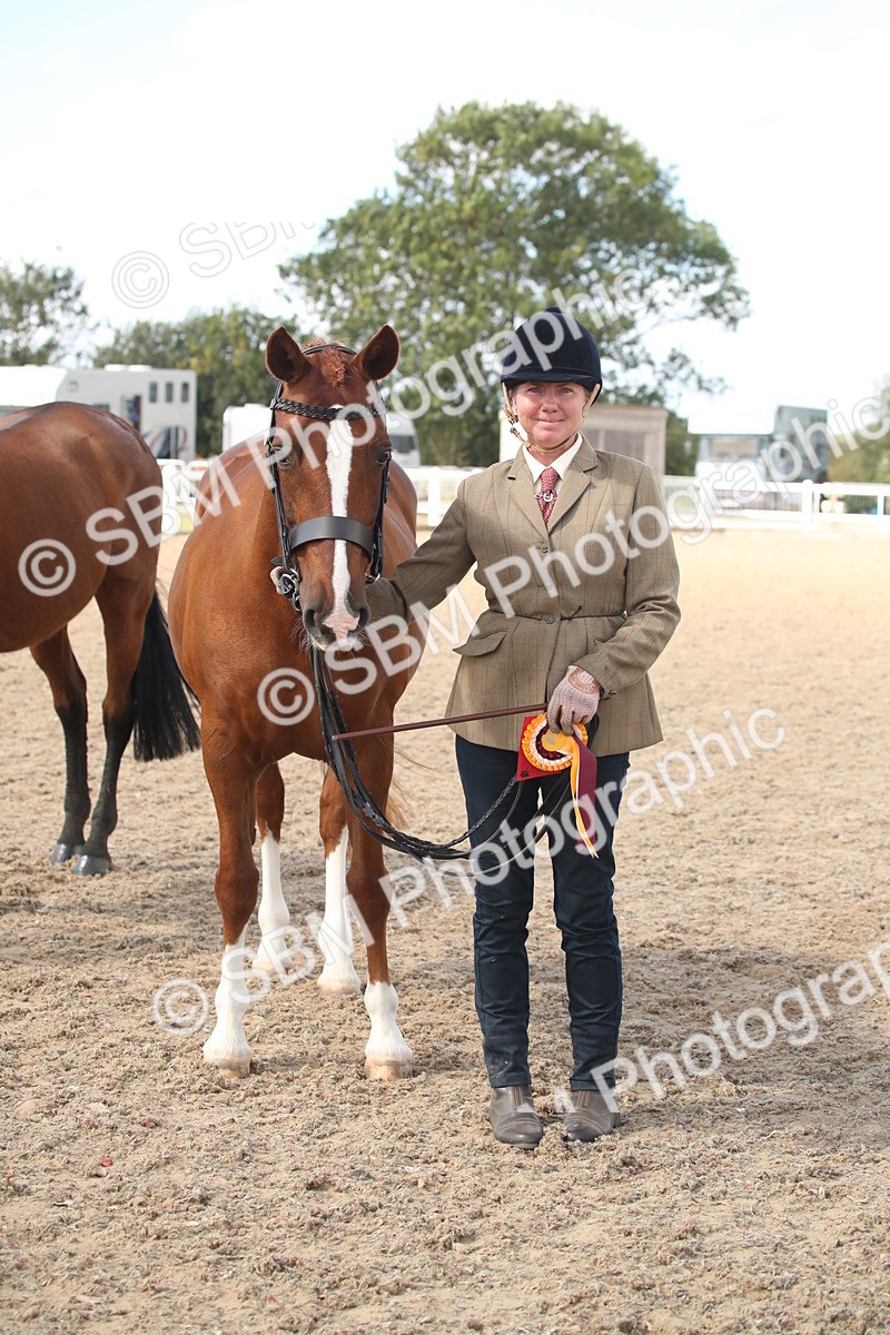 SBM_23485 - Class 604 - 2026 - Area IH Diamond