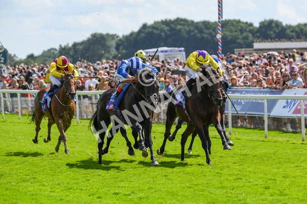290723-Race 3-Alflaila-0547 - Race 3 3.15pm Sky Bet York Stakes (Group 2)