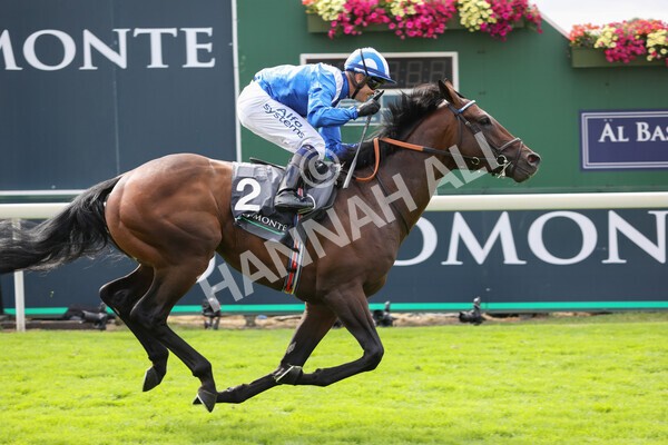 yr17082022r4-79 - Race 4 3.35pm Juddmonte International Stakes (British Champions Series Race)