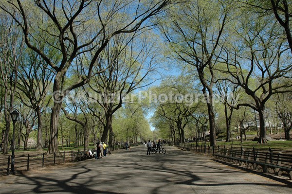  - Central Park
