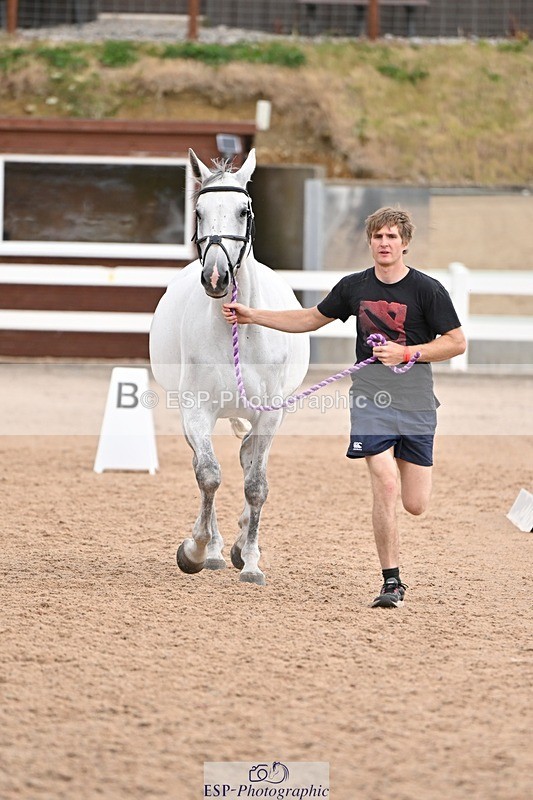 250716-145914-01576 - Trot Up 2.30 to 3.30