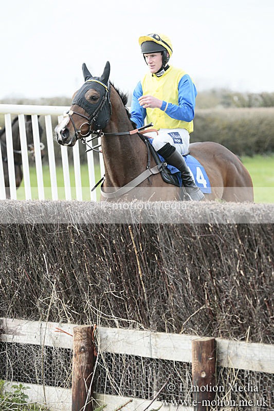 PtP 230319 208 - VWH Hunt Siddington Point-to-Point Racing 23/03/19