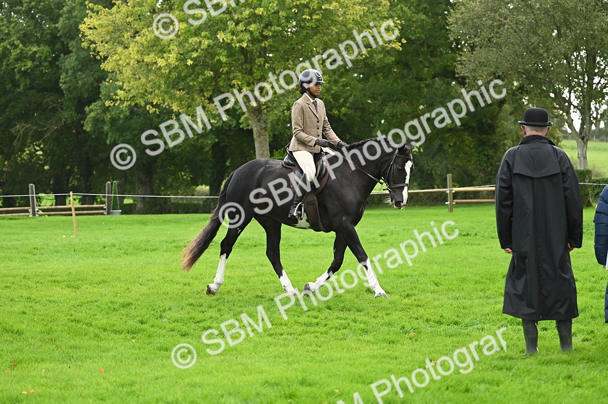 SBM_26349 - S6 - Novice & newcomer Ridden horse