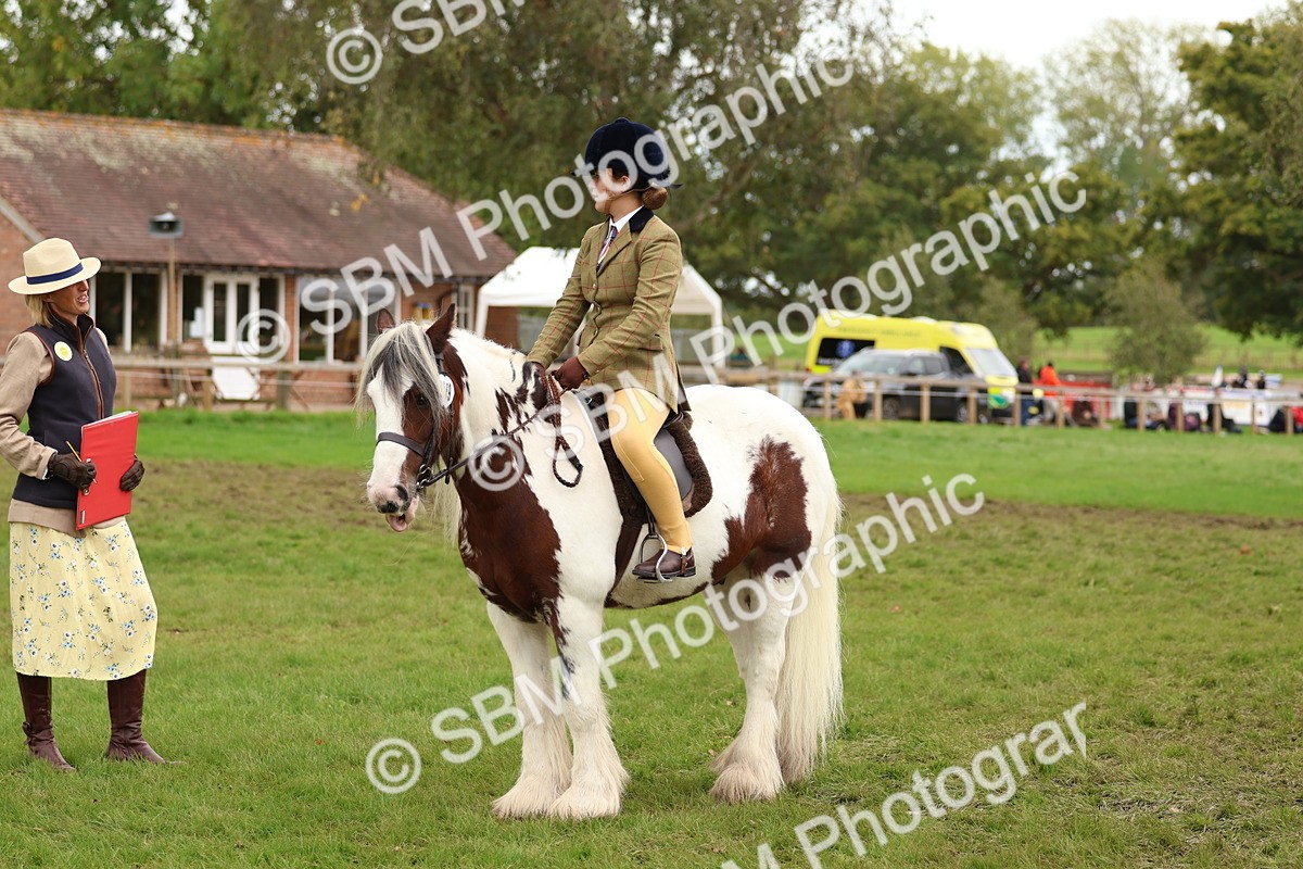 SBM_64586 - S58 - Coloured Pony Ridden
