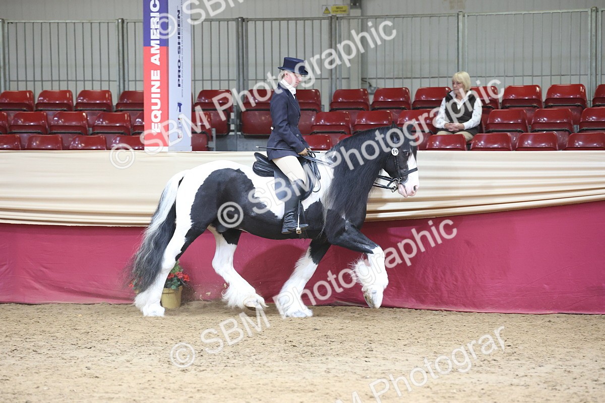SBM_23692 - class 906 - Supreme Final - Ridden Pre Vet