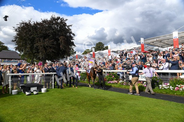 260823-Race 3-Kinross-0347 - Race 3 Sky Bet City Of York Stakes