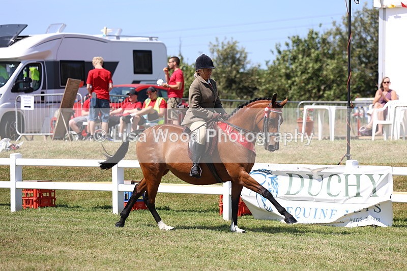 3E7A7639 - Rising Star Ridden Championship