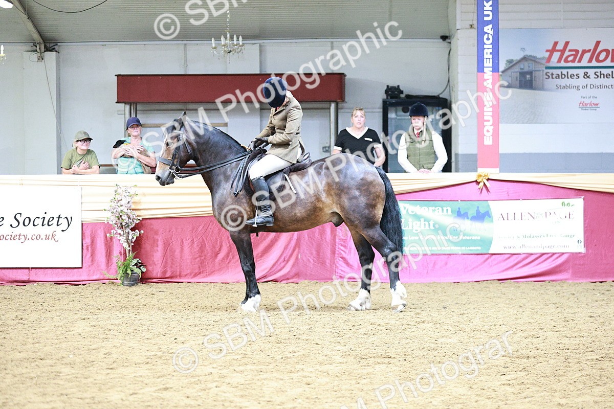 SBM_03602 - Class 6A Area Ridden Pre-Vet