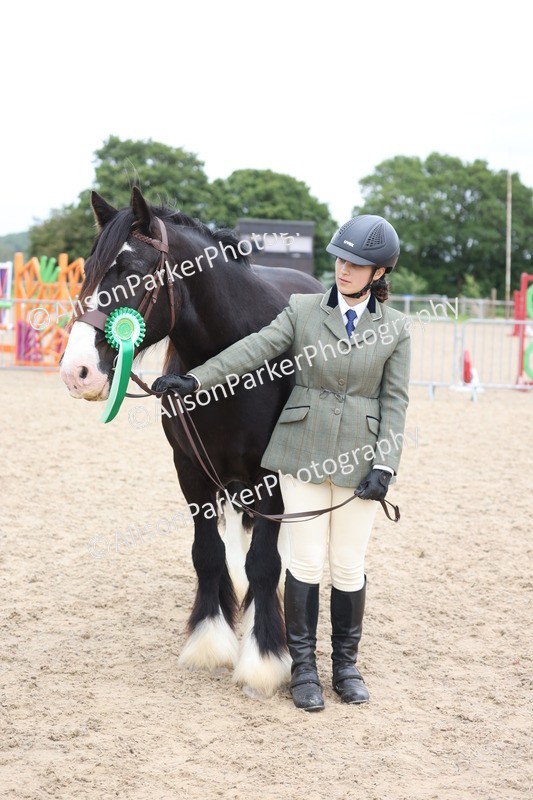 20250524-1055 - Class 9 - Cob and Hunter