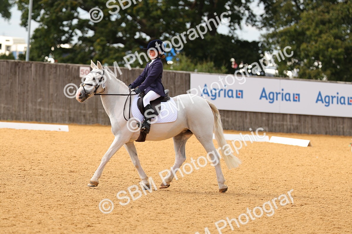 SBM_48269 - D22 - Junior Championship - Intro B