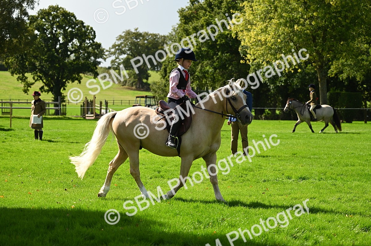 SBM_02747 - S3 - TSR Ridden Pony Showing