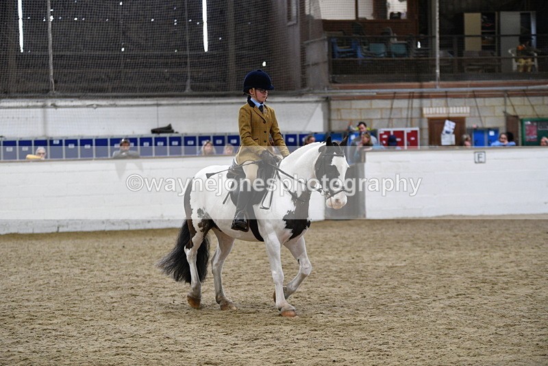WJ5_7293 - Class 11 Ridden PC - RC Pony