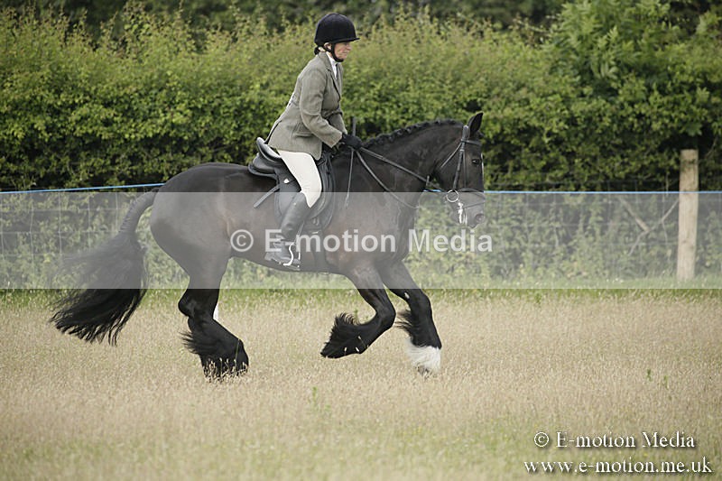 B230619-0164 - Bourne Valley Riding Club Summer Show 23/06/19