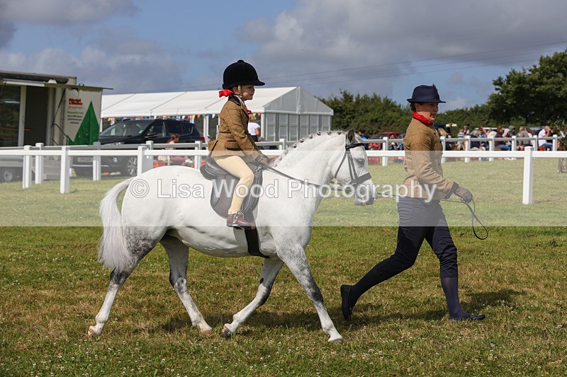 1X9A3657 - Class 29: Lead Rein SP/SHP