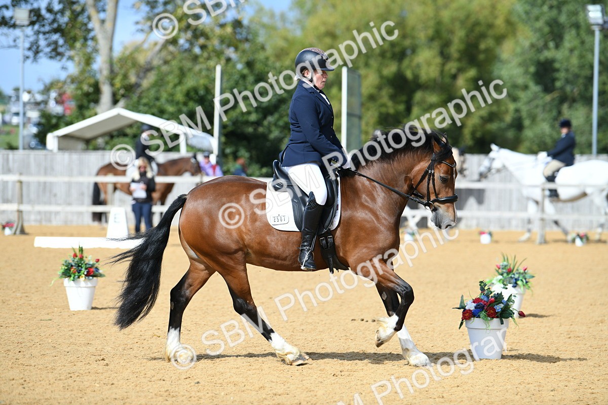 SBM_07454 - D15 Small Tour Championship Novice 24