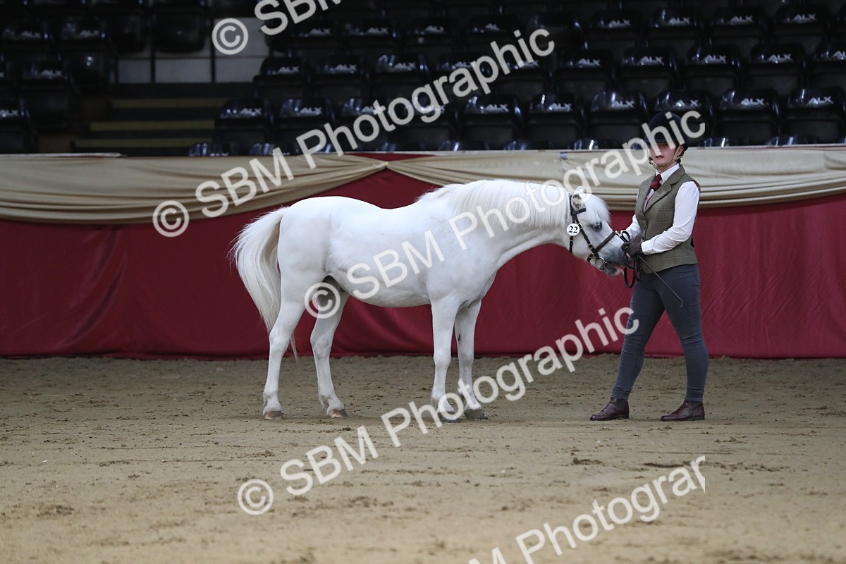 SBM_04933 - Class 8R- Regional -IH Veteran