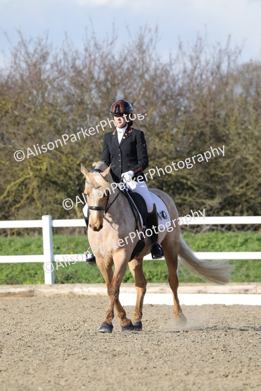 20260314-5791 - DR 7 - Elementary 1