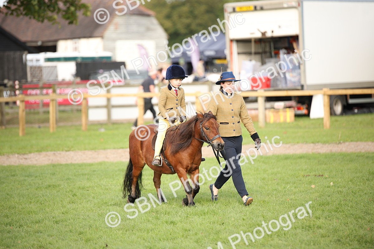 SBM_54273 - S27 - Mature Veteran - Ridden