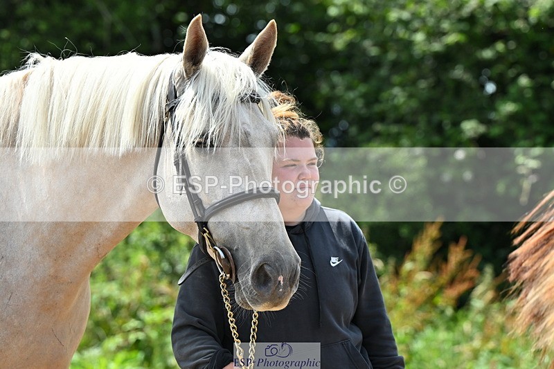 240718A-105314-01735 - Trot Up 1pm to 2pm