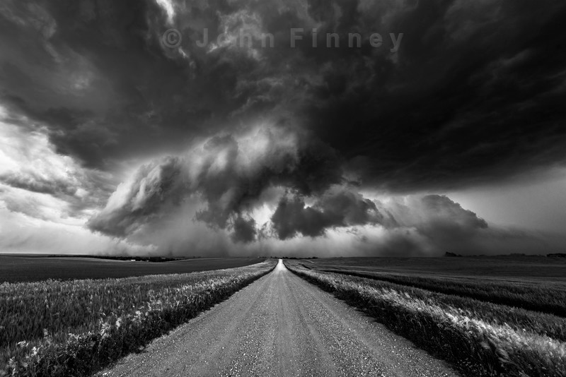 The Bears Cage, North Dakota. - Extraordinary Black-and-white Photographs