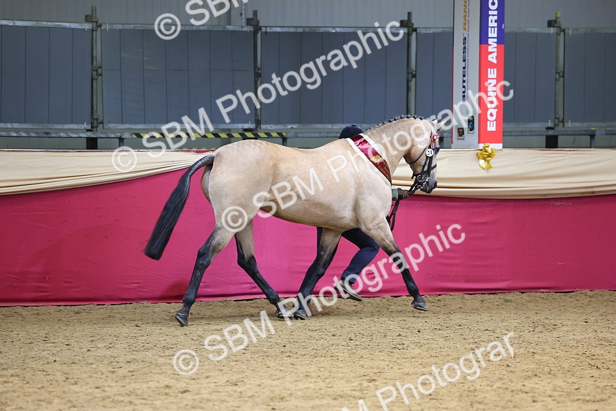 SBM_21206 - Class 902 - Supreme Final IH Veteran
