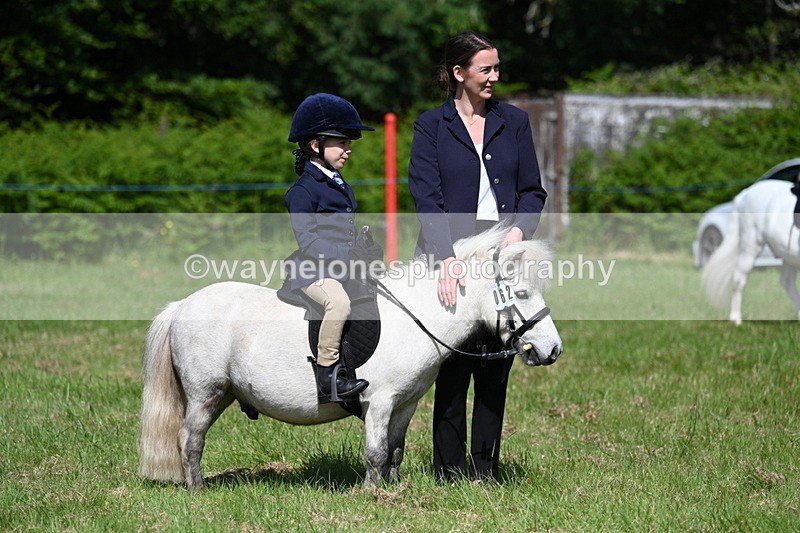 WJ7_0774 - Class 8 First Rally Pony