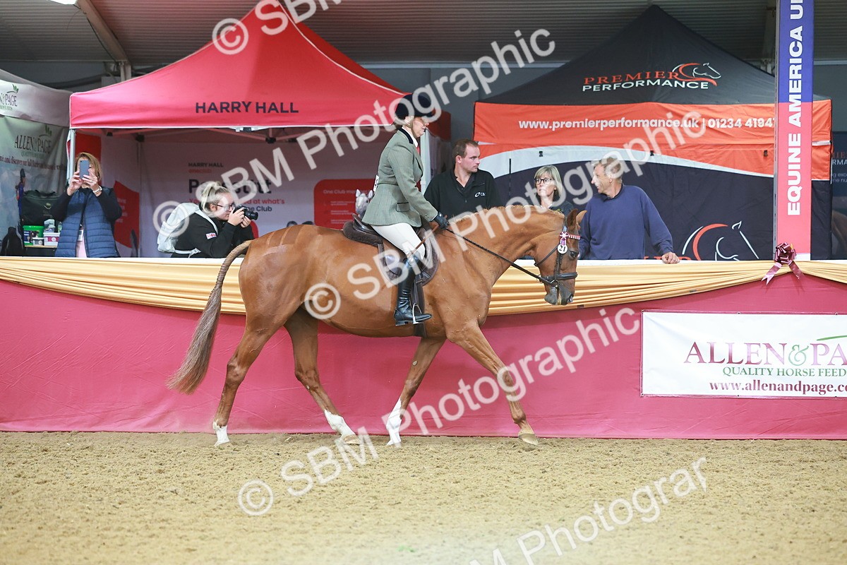SBM_09611 - Class 102 - HOYS Veteran Qualifier - Ridden Veteran