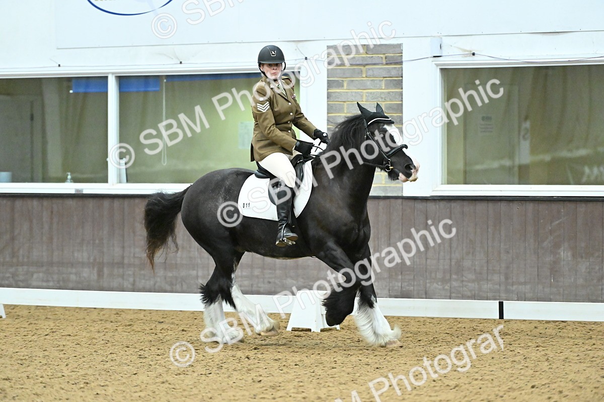 SBM_007457 - Class 81 - Novice 3