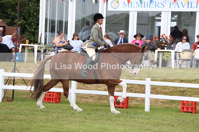 3E7A0523 - Rising Star Ridden Championship