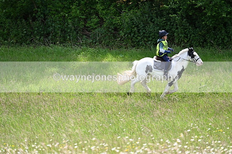 WJ7_8789 - Group 4 11am