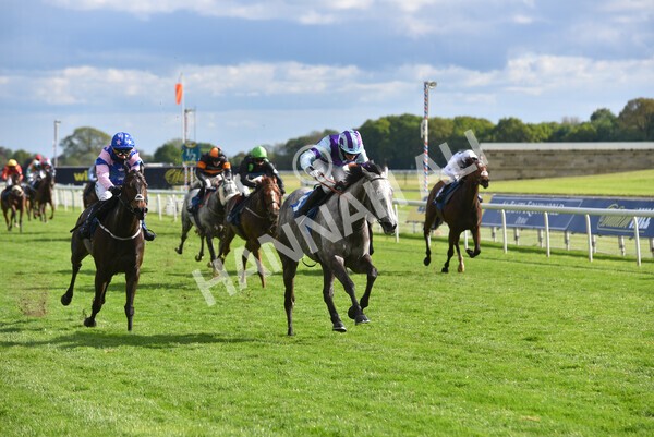 yr22052021r7-44 - Race 7 5.25pm Hudson Quarter York Palace Capital Stakes - Gentleman Amateur Riders Race