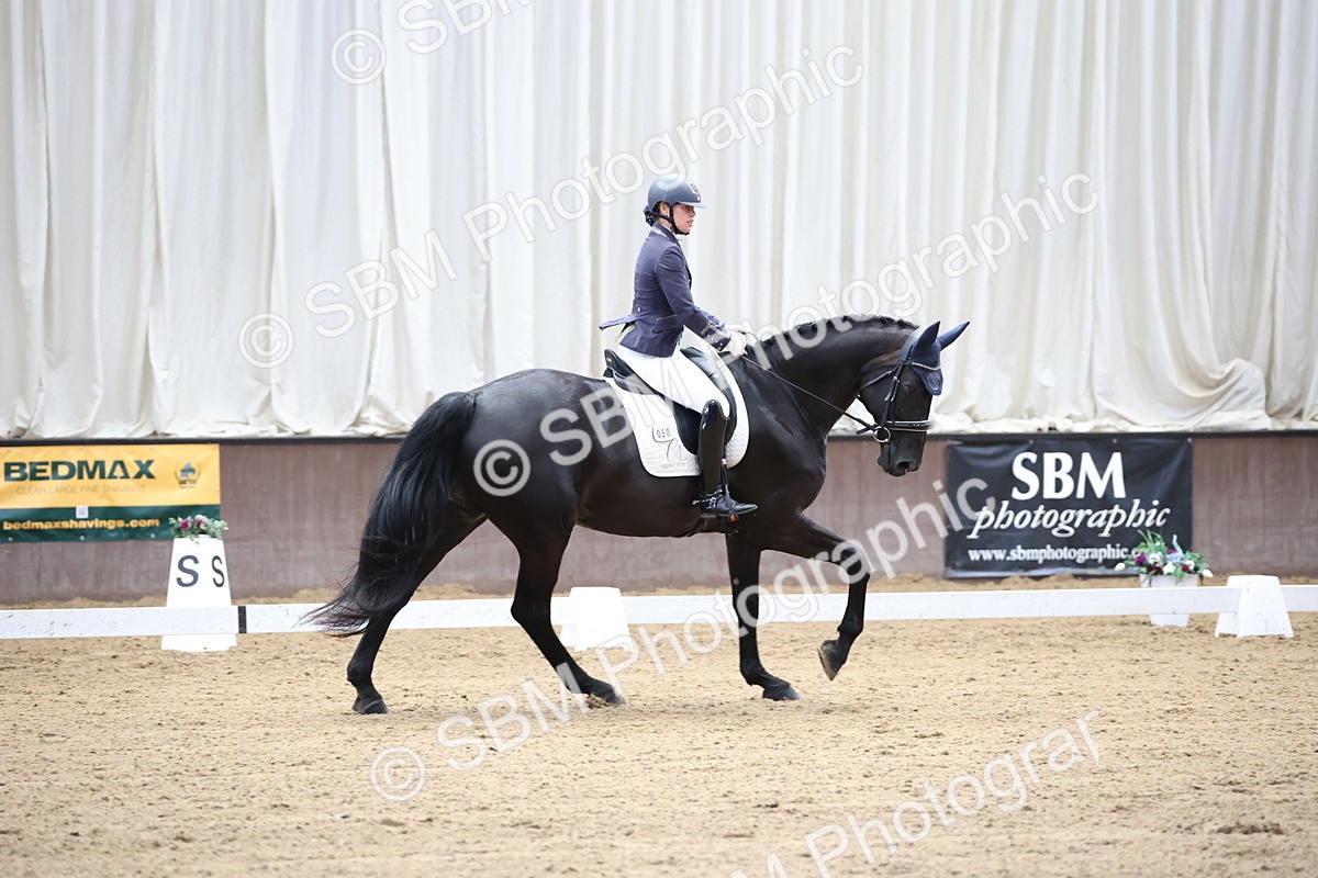 SBM_002232 - Class 5 - Novice 6 Gold - 9.00-10.10