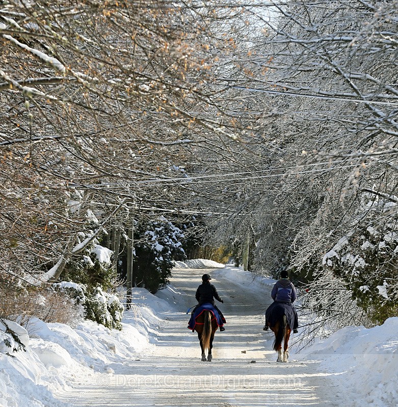 Horseback Riding on Almon Lane - Winterscape