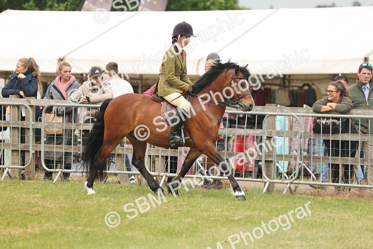 SBM_07163 - Class 76-77 - Ridden M&M Welsh Ponies