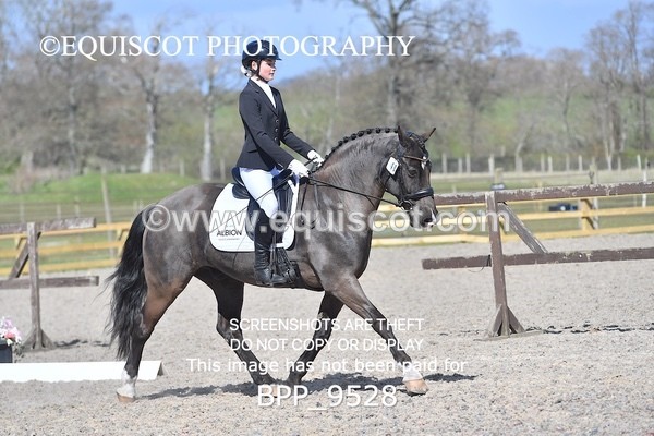 BPP_9528 - NOVICE 6