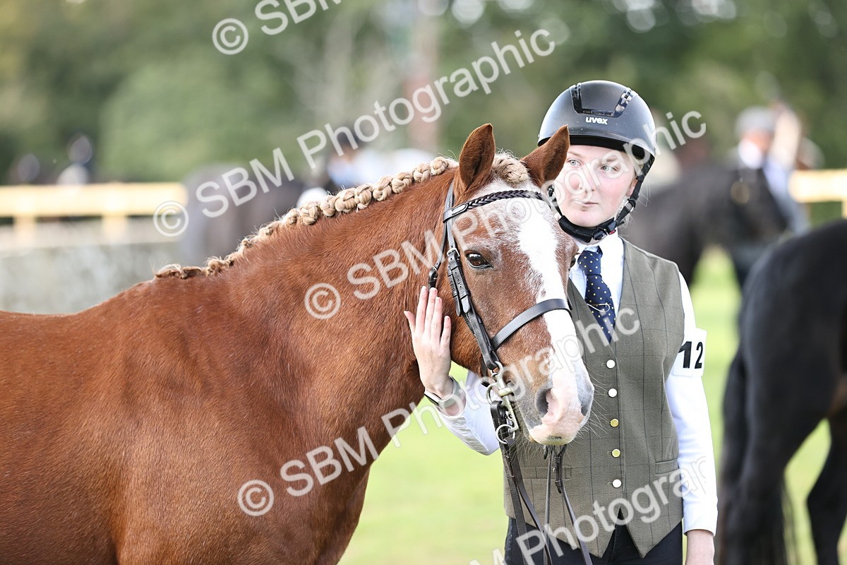 SBM_26275 - S5 - Novice & Newcomers In Hand