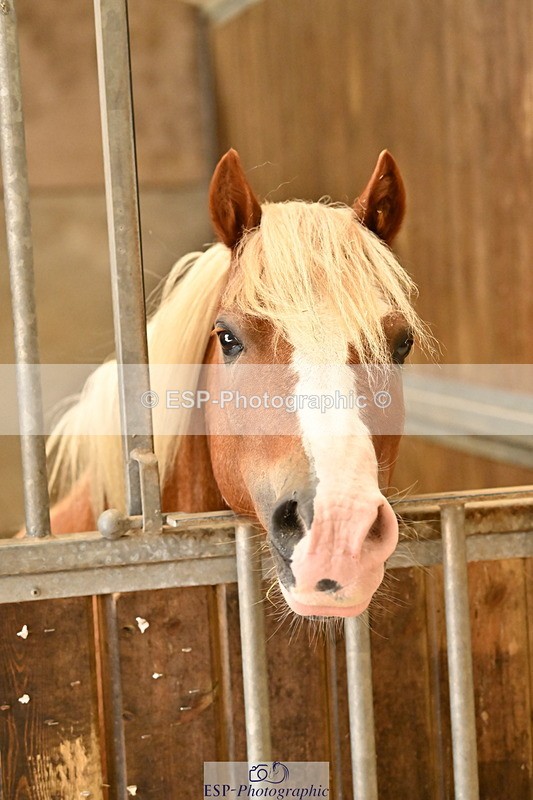 250821B-140954-00487 - Stable Shots and Group Photo