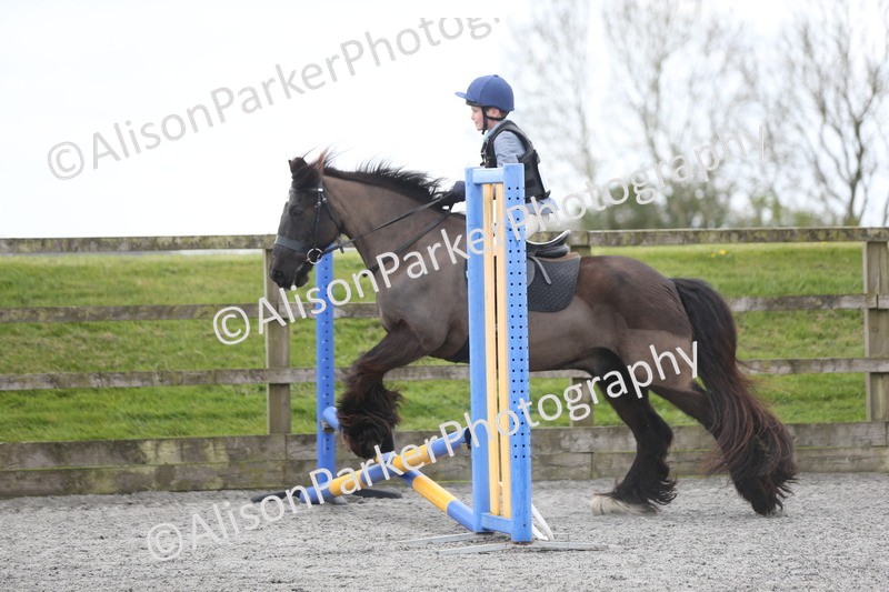 20260412-0586 - Show Jumping