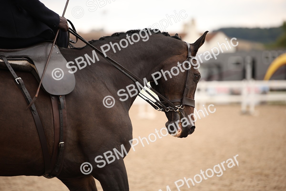 SBM_05442 - Class 22 SSA Equitation