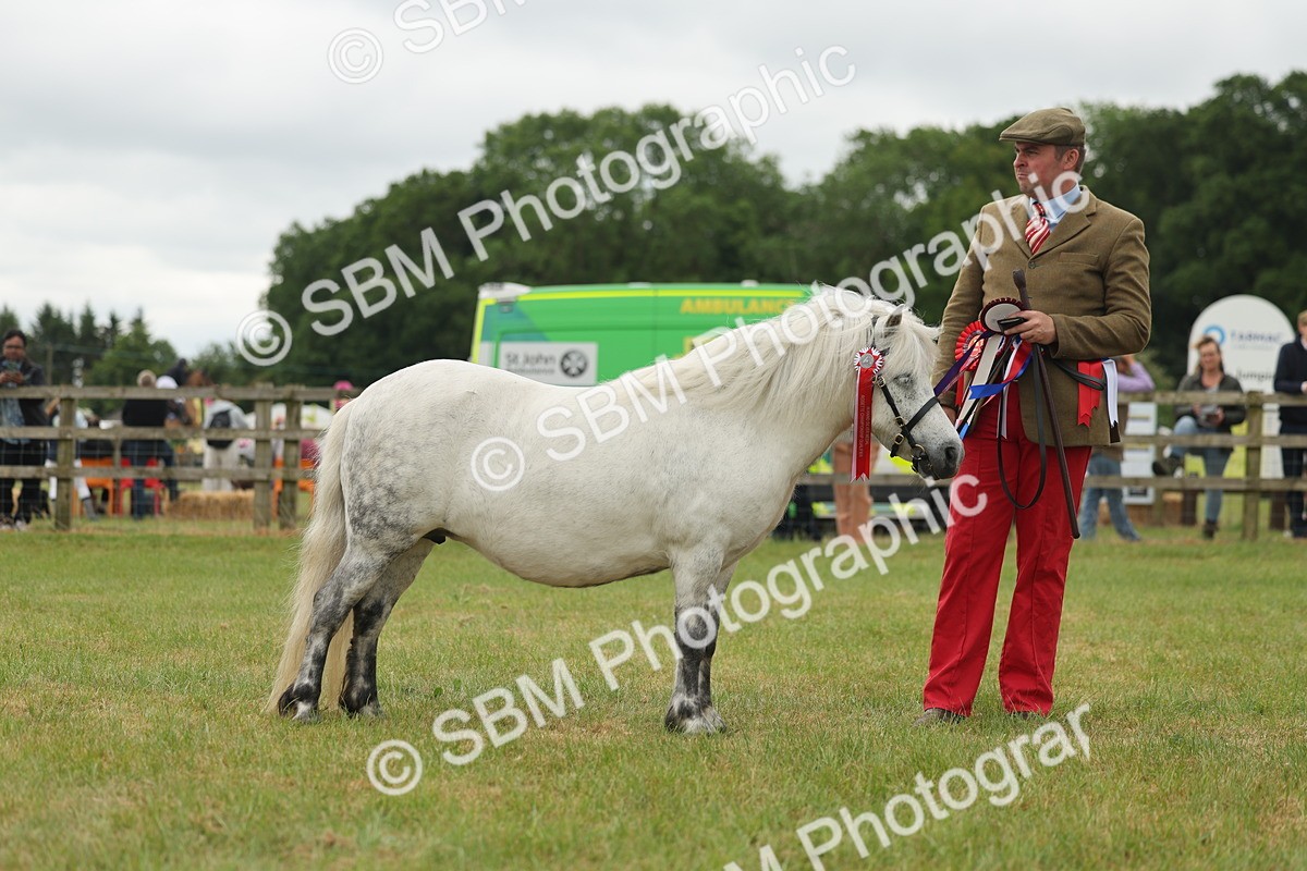 SBM_05100 - Class 50-57 - M&M Welsh Pony In Hand