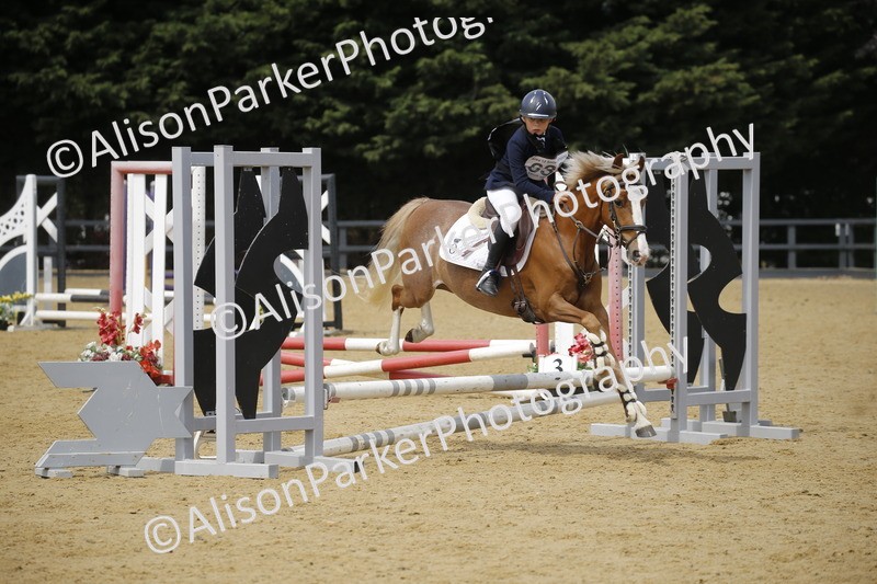 20250622-4047 - 50cm