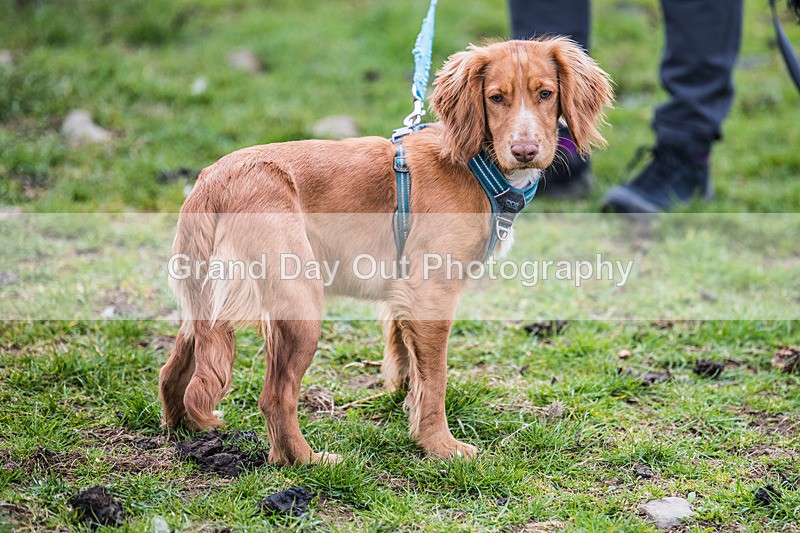 Isel Cross-14 - Isel Cross Race Saturday 19th April 2025