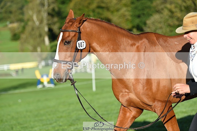 231022-093106-21849 - 607-RICO.III-Alison.Stewart-TrotUp+SJ