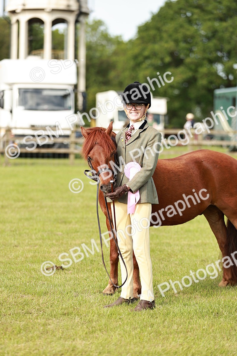 SBM_00566 - Class 14-23 - Mountain & Moorland In Hand Non Welsh