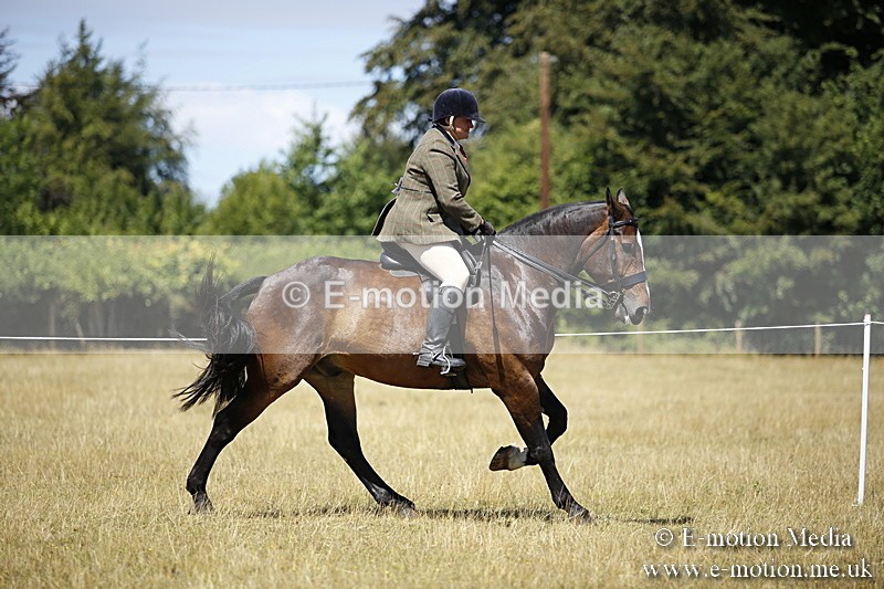 _C7A9857 - BVRC Show 2018 Ring 1